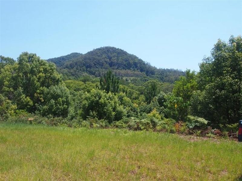 681 Nobbys Creek Road, Nobbys Creek NSW 2484