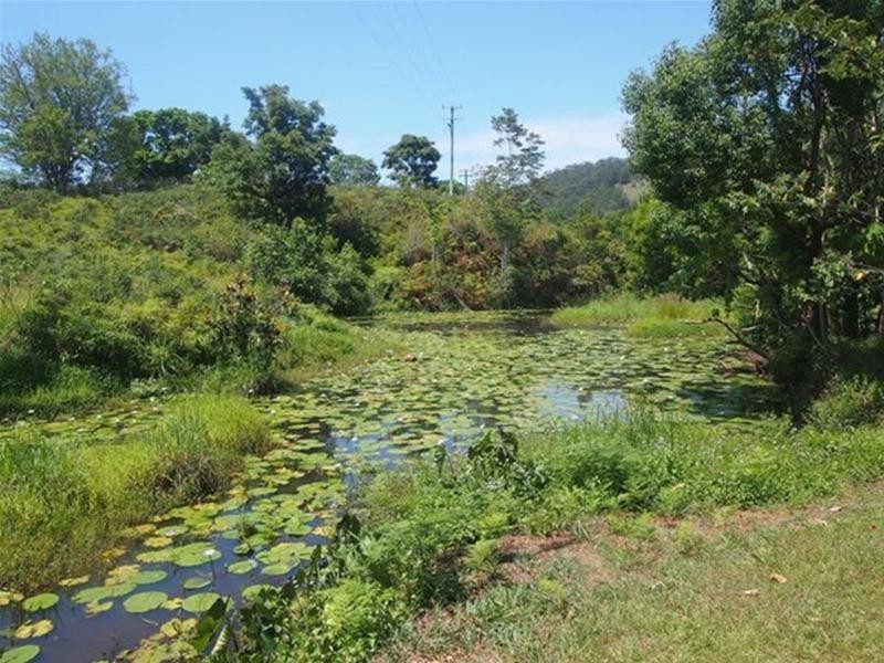 681 Nobbys Creek Road, Nobbys Creek NSW 2484