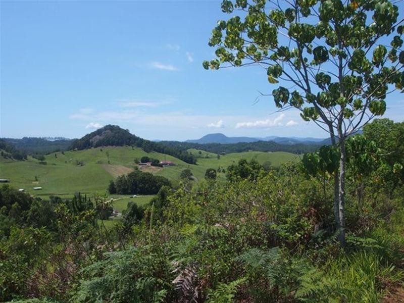 681 Nobbys Creek Road, Nobbys Creek NSW 2484