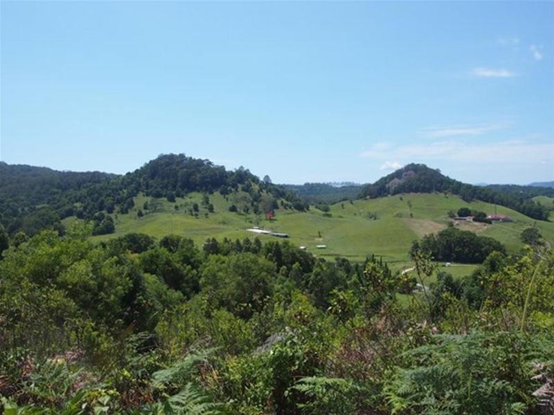 681 Nobbys Creek Road, Nobbys Creek NSW 2484