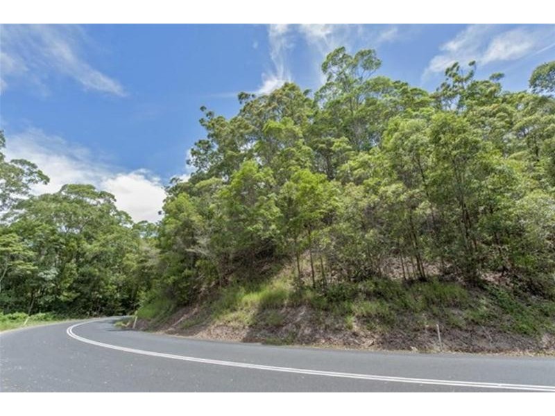 681 Nobbys Creek Road, Nobbys Creek NSW 2484