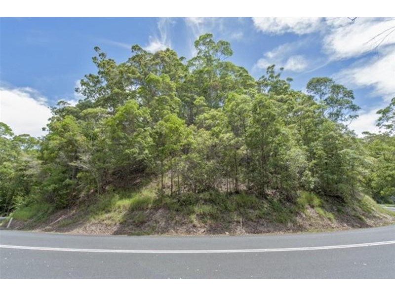 681 Nobbys Creek Road, Nobbys Creek NSW 2484