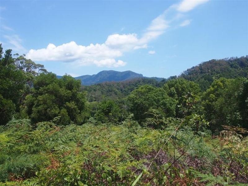 681 Nobbys Creek Road, Nobbys Creek NSW 2484