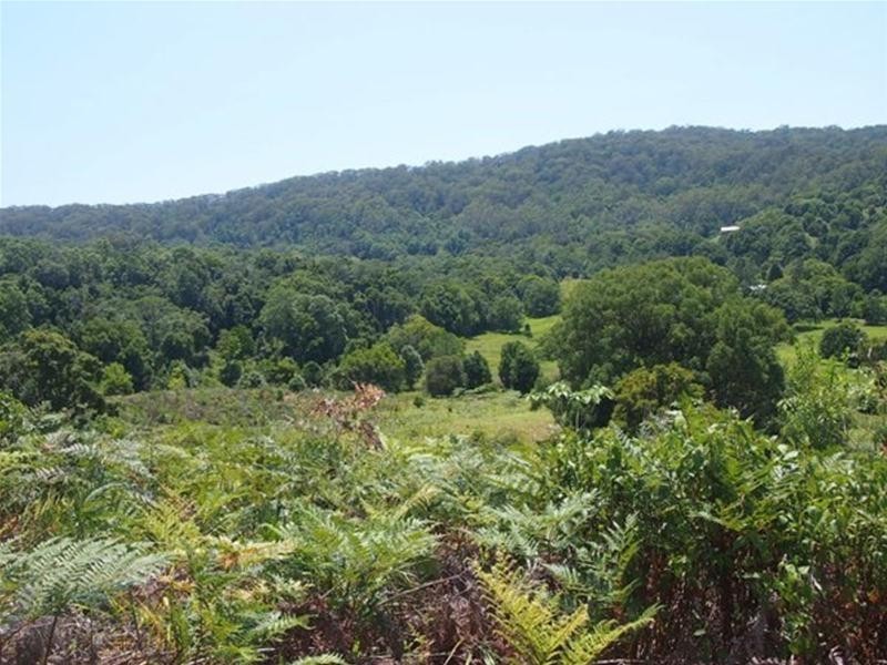 681 Nobbys Creek Road, Nobbys Creek NSW 2484