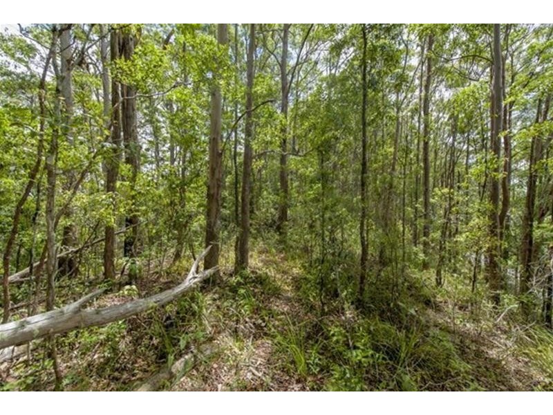 681 Nobbys Creek Road, Nobbys Creek NSW 2484