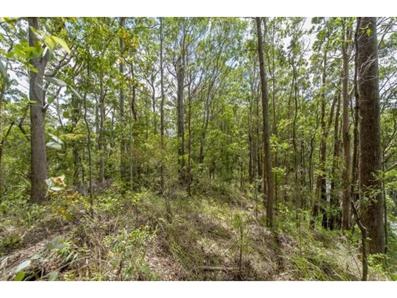 681 Nobbys Creek Road, Nobbys Creek NSW 2484