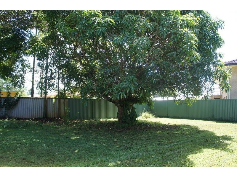 11 Tamarisk Avenue, Murwillumbah NSW 2484
