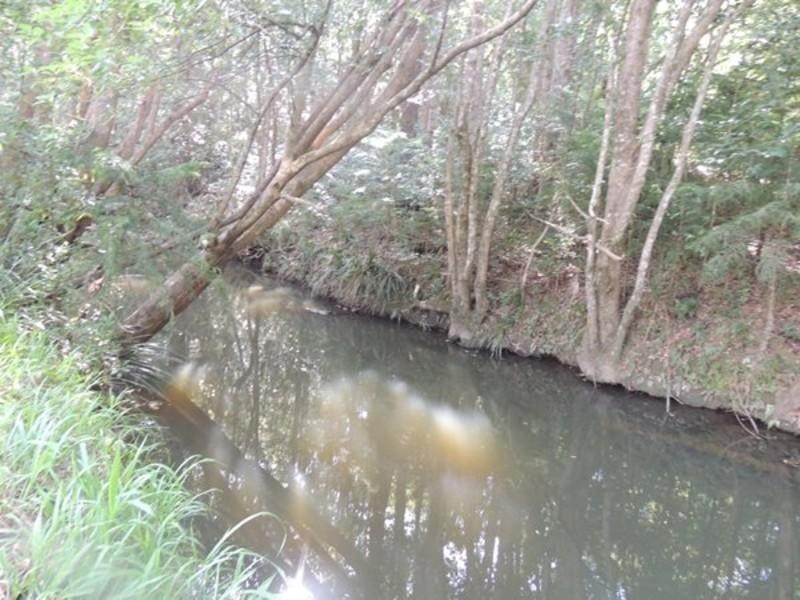 20 Cooloon Street, Kunghur NSW 2484