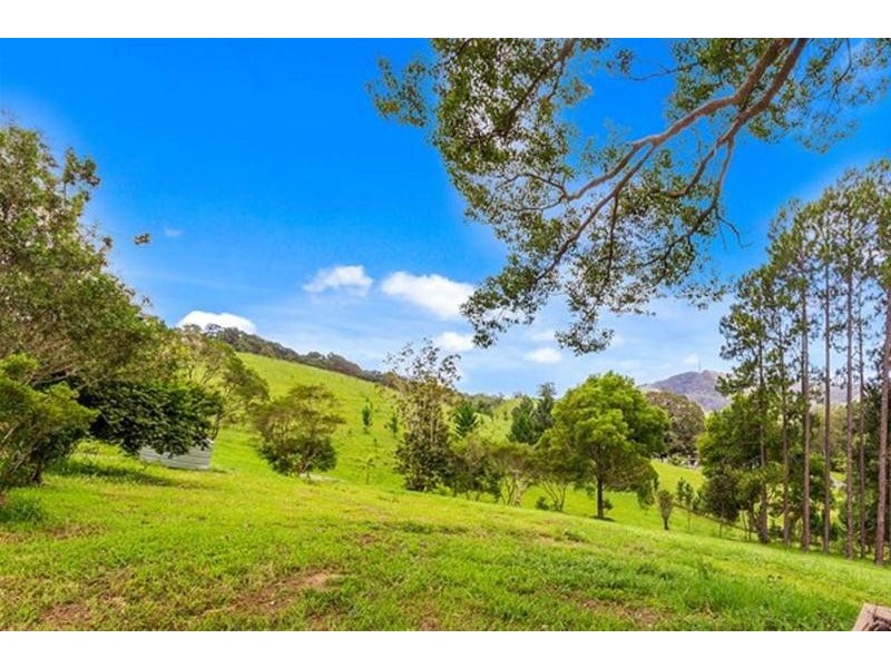49 Blakeneys Road, Stokers Siding NSW 2484