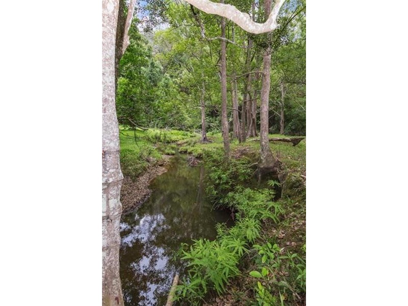 49 Blakeneys Road, Stokers Siding NSW 2484