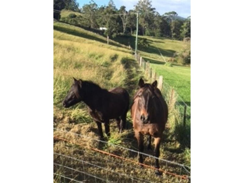 52 Bald Mountain, Limpinwood NSW 2484