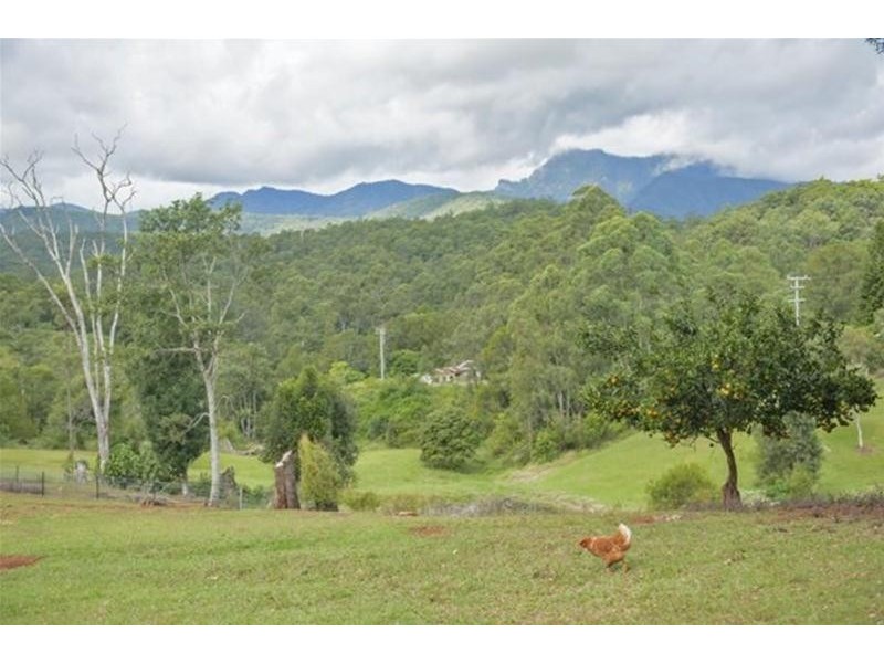 52 Bald Mountain, Limpinwood NSW 2484