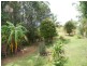 3778 Cecil Street, Nimbin NSW 2480