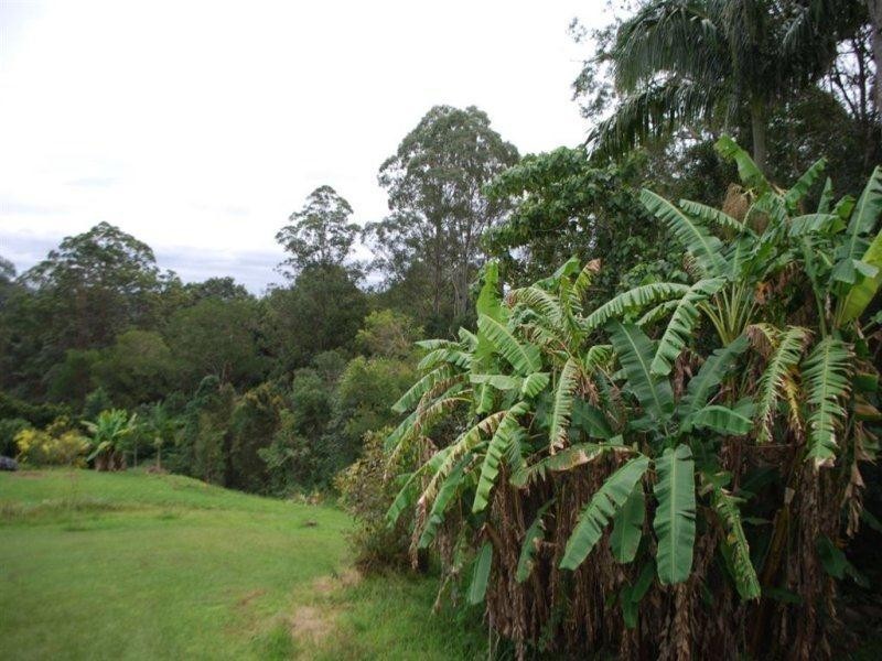 3778 Cecil Street, Nimbin NSW 2480