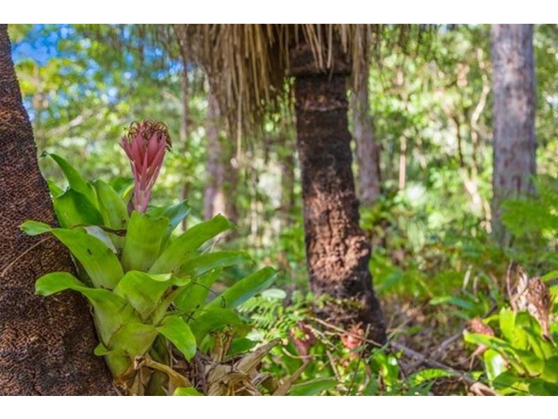 147 The Bloodwoods, Stokers Siding NSW 2484