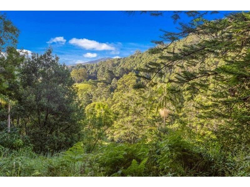 147 The Bloodwoods, Stokers Siding NSW 2484