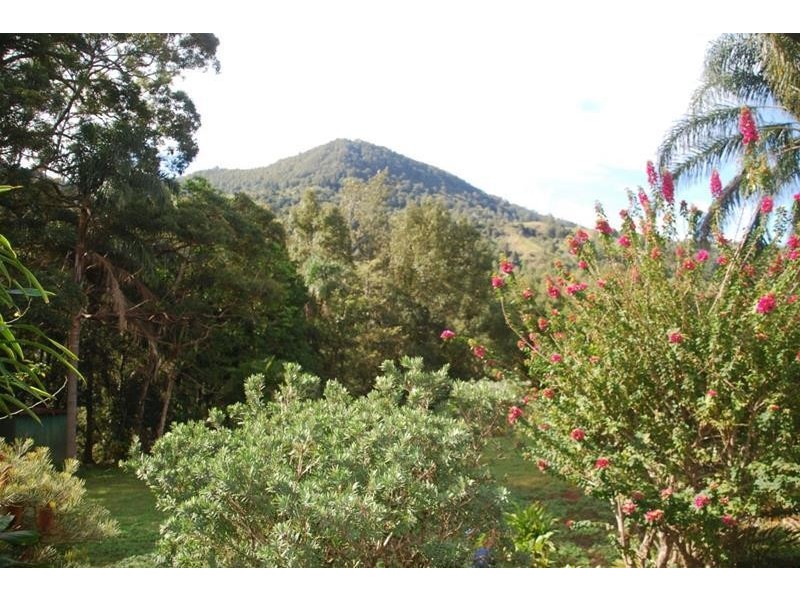 25 Kirbys Road, Limpinwood NSW 2484