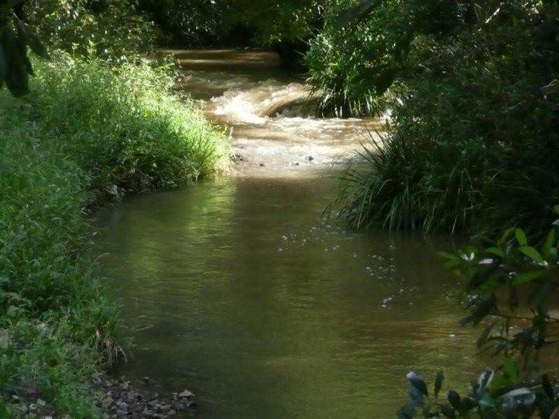 116 Crabbes Creek Road, Crabbes Creek NSW 2483