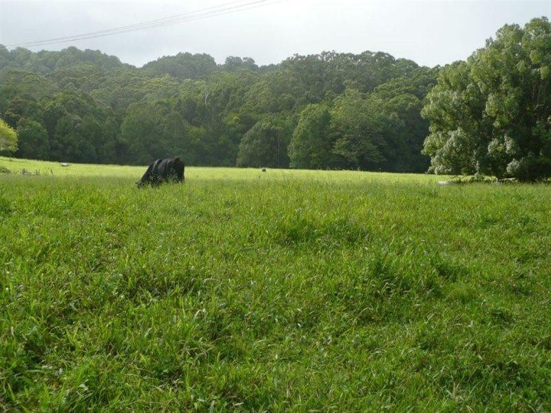 116 Crabbes Creek Road, Crabbes Creek NSW 2483