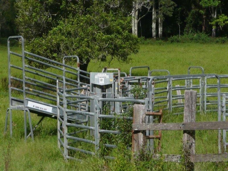 116 Crabbes Creek Road, Crabbes Creek NSW 2483