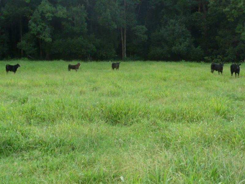 116 Crabbes Creek Road, Crabbes Creek NSW 2483