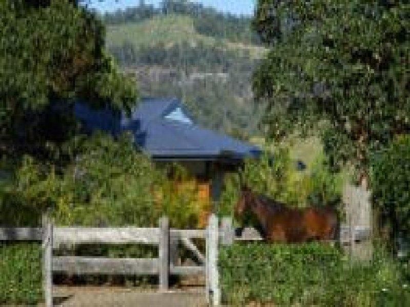 167 Upper Crystal Creek Road, Upper Crystal Creek NSW 2484
