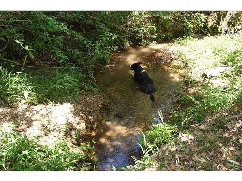 220 Hazelbrook Road, Uki NSW 2484