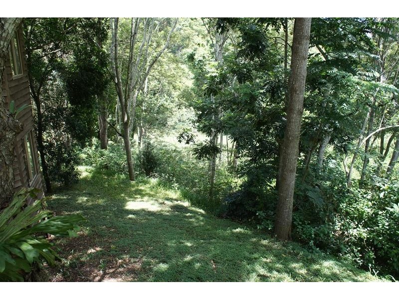 220 Hazelbrook Road, Uki NSW 2484