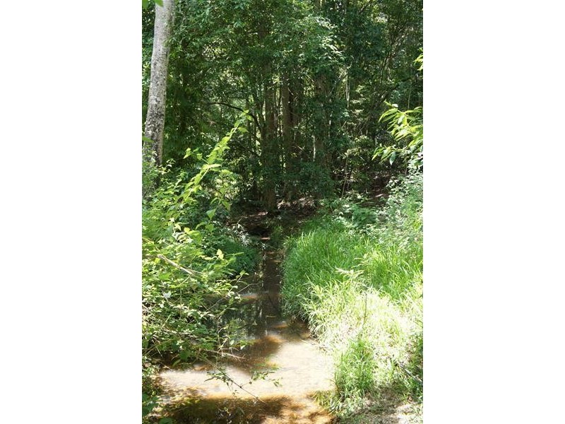 220 Hazelbrook Road, Uki NSW 2484