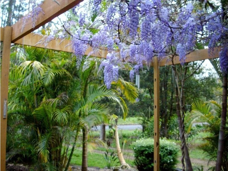 135 Mt Warning Road, Mount Warning NSW 2484