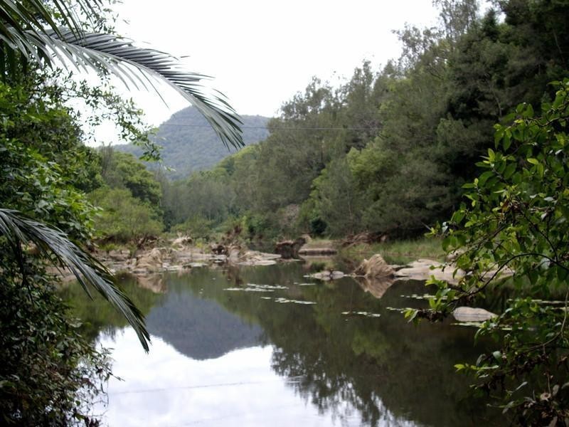 135 Mt Warning Road, Mount Warning NSW 2484