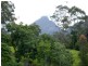 135 Mt Warning Road, Mount Warning NSW 2484