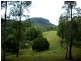135 Mt Warning Road, Mount Warning NSW 2484