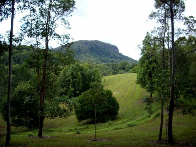 135 Mt Warning Road, Mount Warning NSW 2484