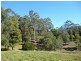 135 Mt Warning Road, Mount Warning NSW 2484