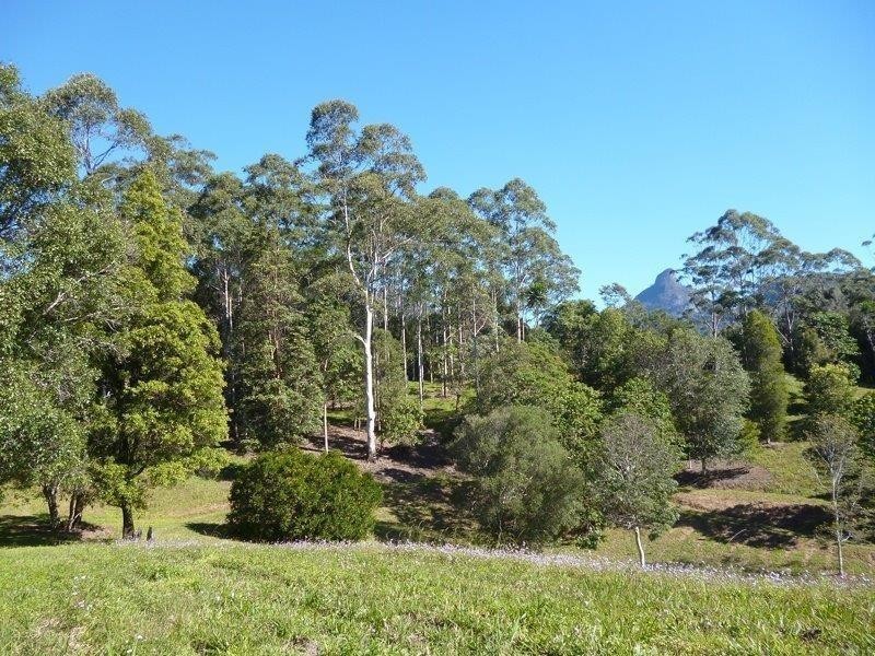 135 Mt Warning Road, Mount Warning NSW 2484