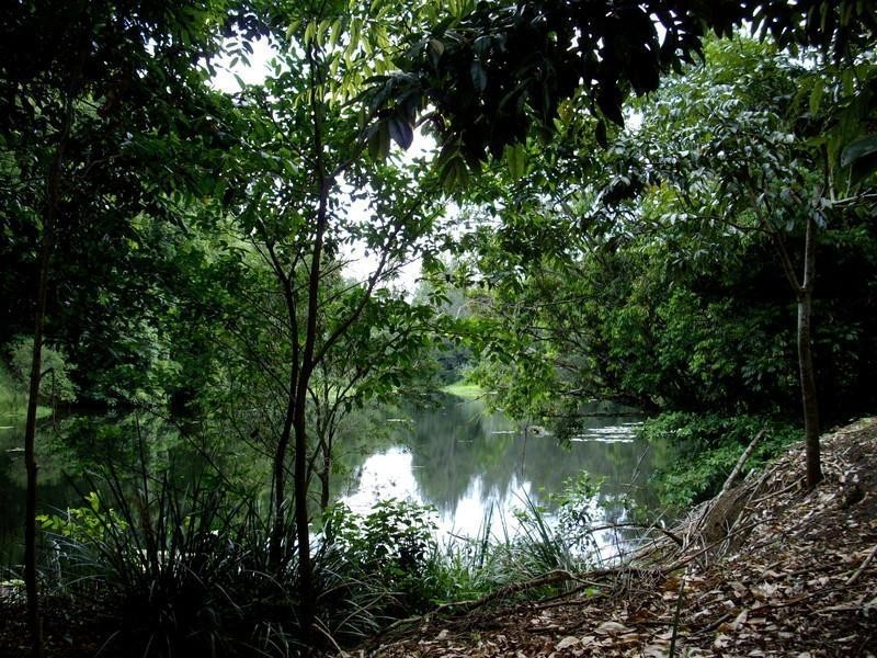 135 Mt Warning Road, Mount Warning NSW 2484