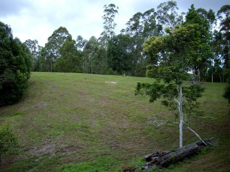 135 Mt Warning Road, Mount Warning NSW 2484