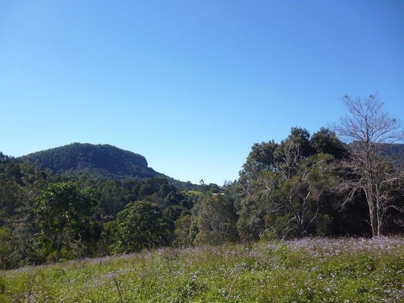 135 Mt Warning Road, Mount Warning NSW 2484