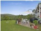 334 Green Pigeon Road, Green Pigeon NSW 2474