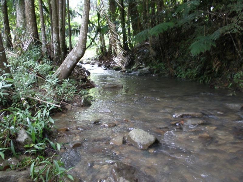 316 Dungay Creek  Road, Dungay NSW 2484