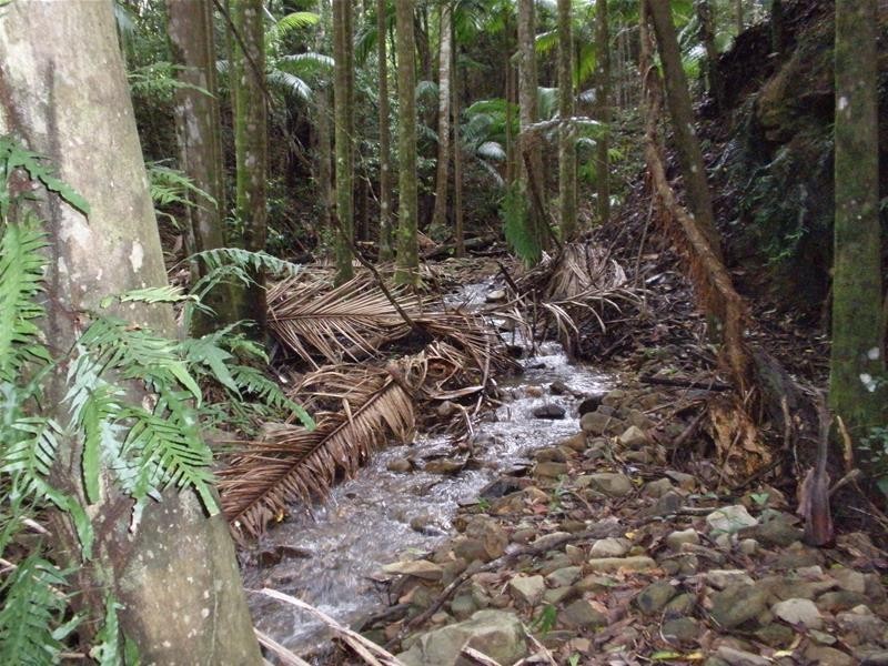 316 Dungay Creek  Road, Dungay NSW 2484