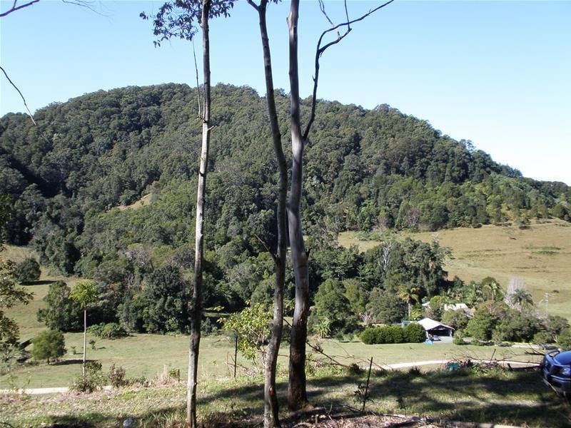 316 Dungay Creek  Road, Dungay NSW 2484