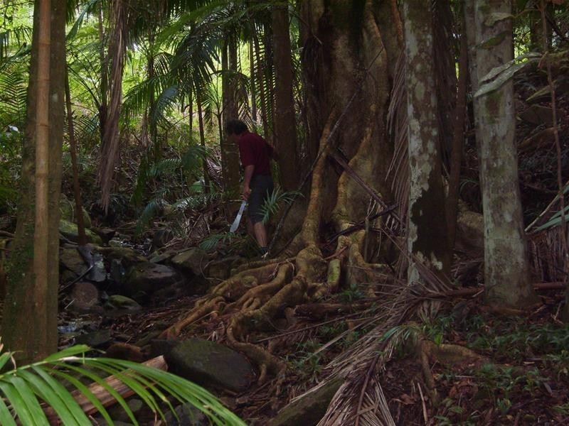 316 Dungay Creek  Road, Dungay NSW 2484