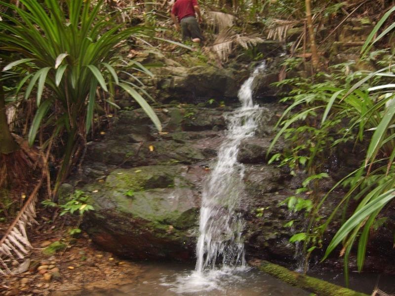 316 Dungay Creek  Road, Dungay NSW 2484