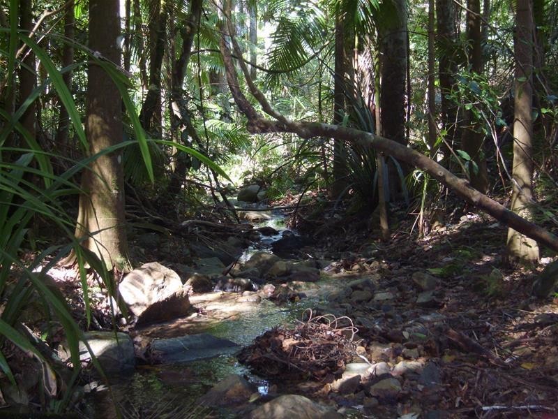 316 Dungay Creek  Road, Dungay NSW 2484