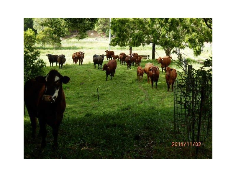 North Tumbulgum NSW 2490