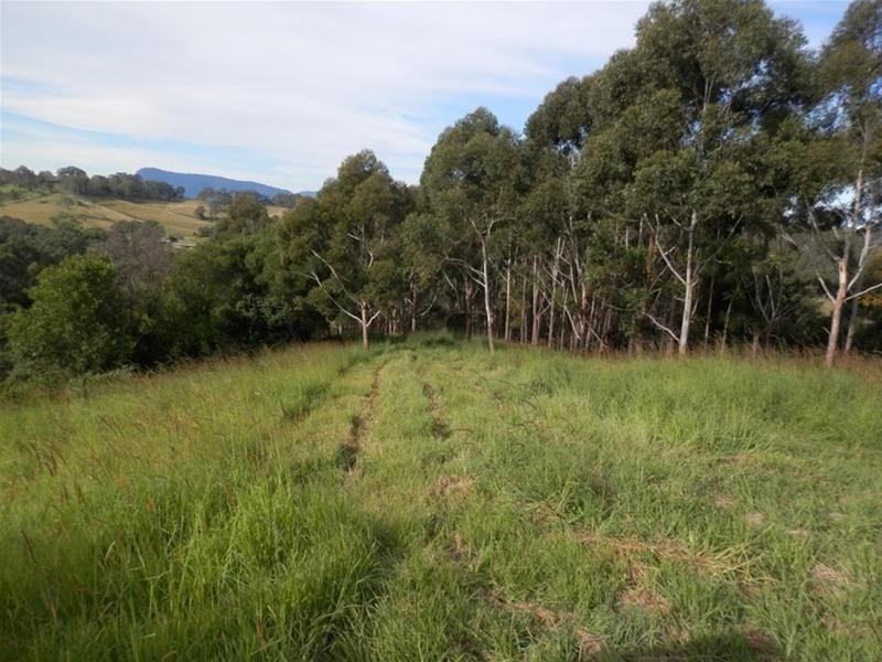 315 Sargents Road, Homeleigh NSW 2474