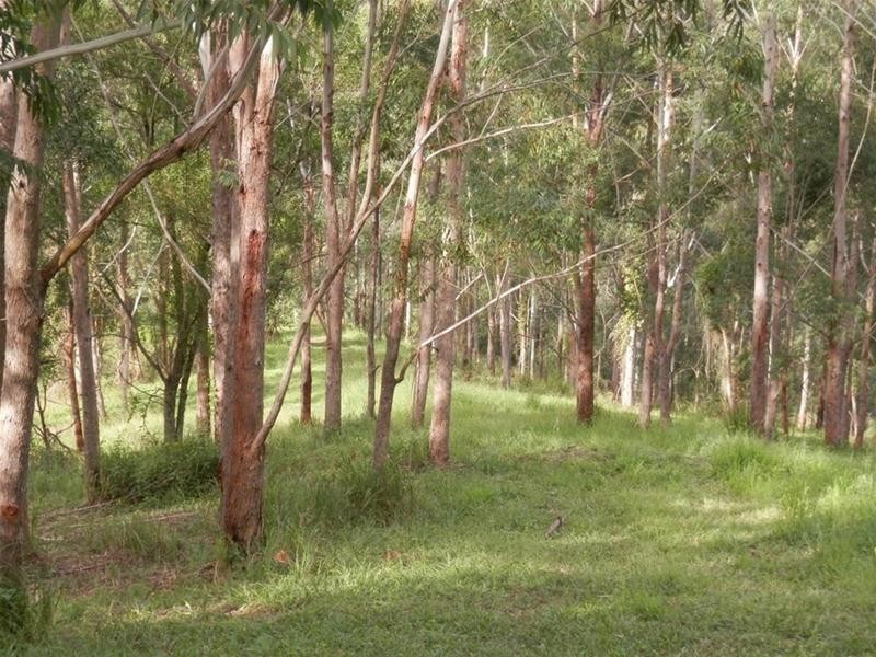 315 Sargents Road, Homeleigh NSW 2474