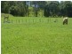 765 Cudgera Creek Road, Cudgera Creek NSW 2484